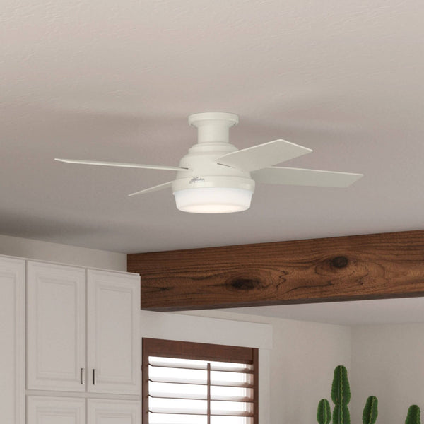 Hunter Dempsey 44" Ceiling Fan - Fresh White